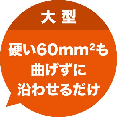 大型